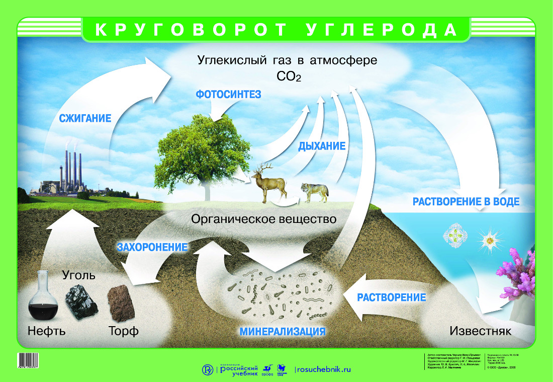 Круговорот углерода – наглядное пособие – Корпорация Российский учебник  (издательство Дрофа – Вентана)