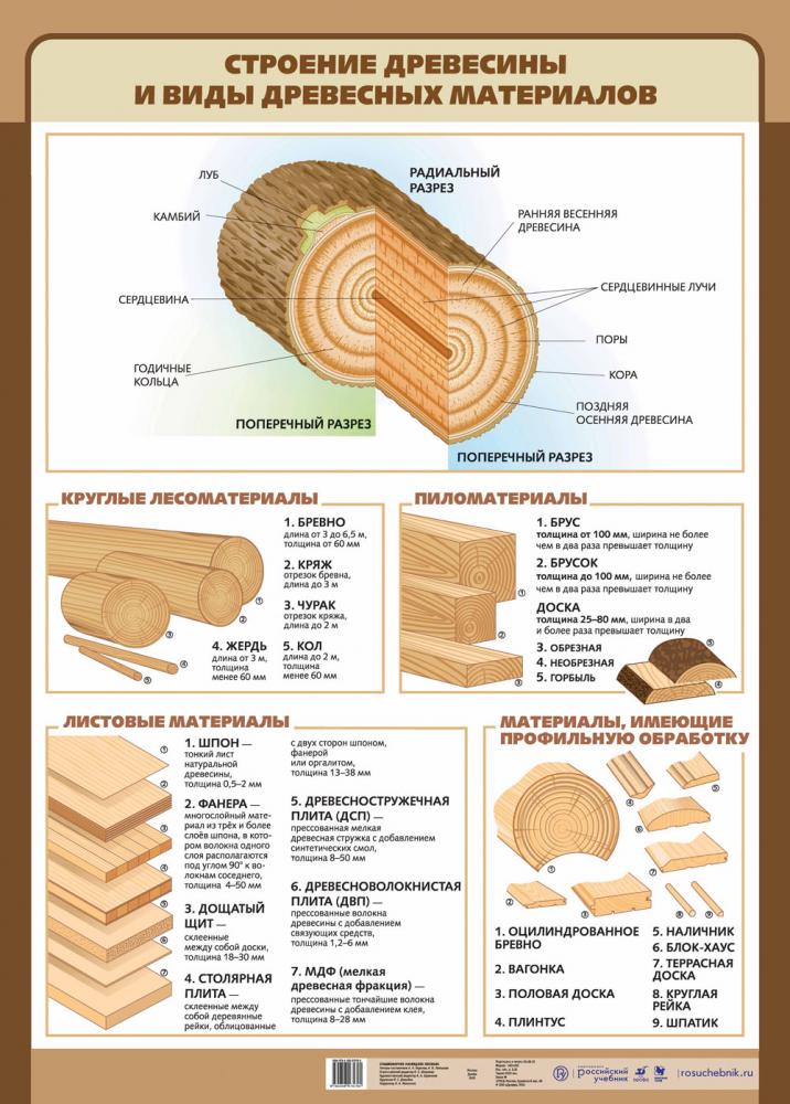 Образцы древесины. Строение древесины и породы древесины. Виды древесных пород, строение древесины. Брус брусок доска классификация. Классификация древесины материалов.