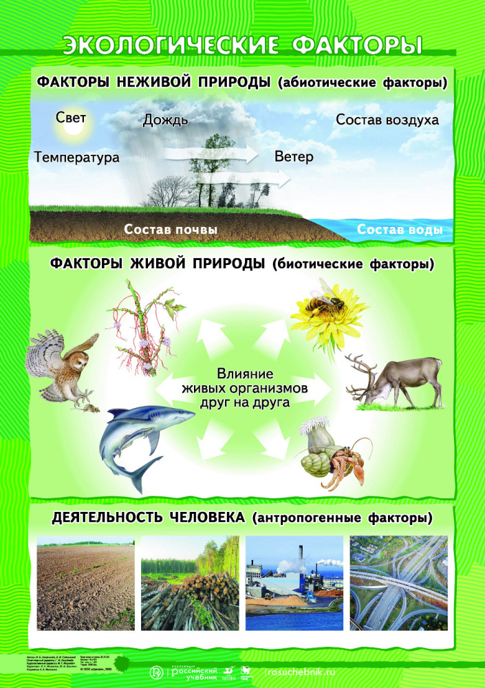 Экосистема экологические факторы презентация 7 класс