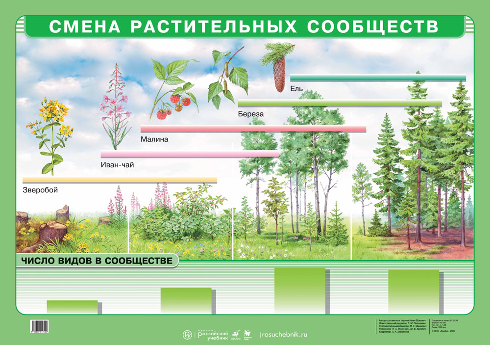 Презентация растительные сообщества 7 класс биология