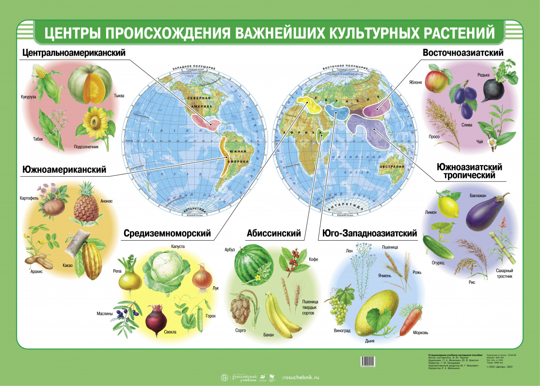 Центры происхождения важнейших культурных растений – наглядное пособие –  Корпорация Российский учебник (издательство Дрофа – Вентана)