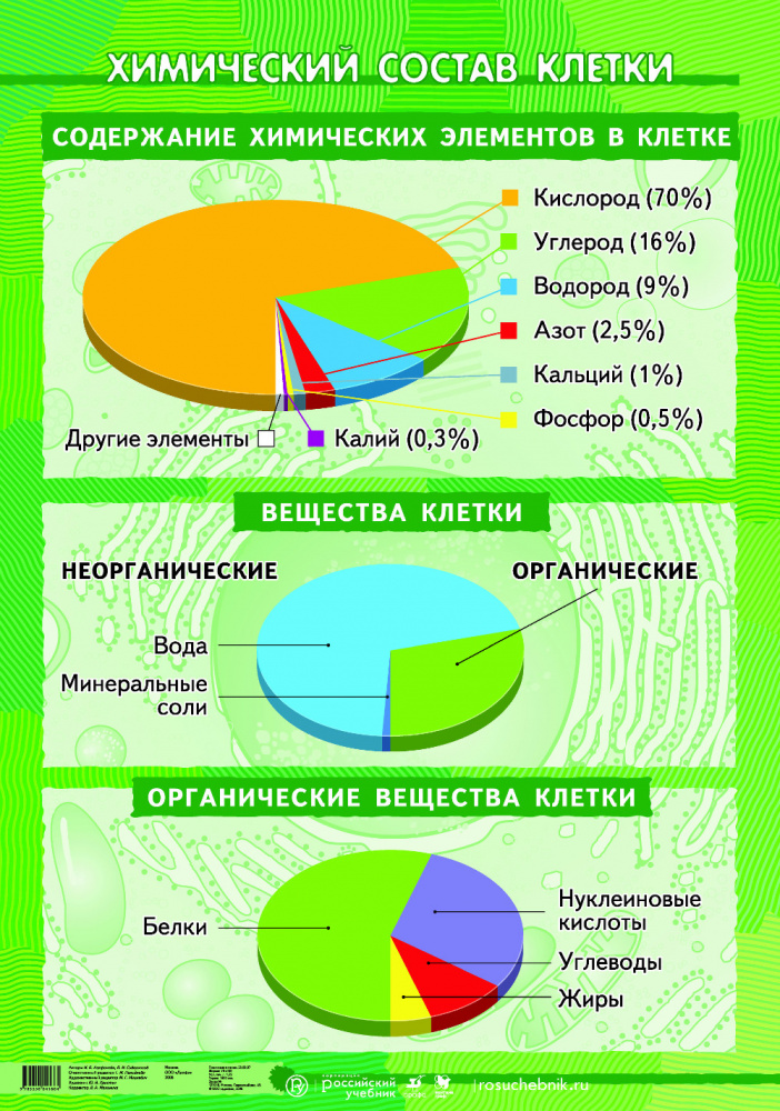 На диаграмме представлено содержание основных химических веществ в клетках растений и животных