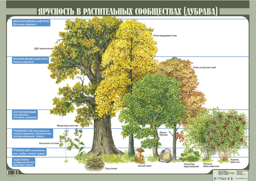 Ярусность надземная и подземная схема