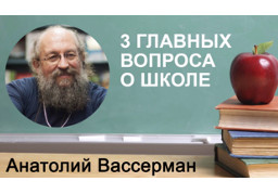 Анатолий Вассерман: три главных вопроса о школе