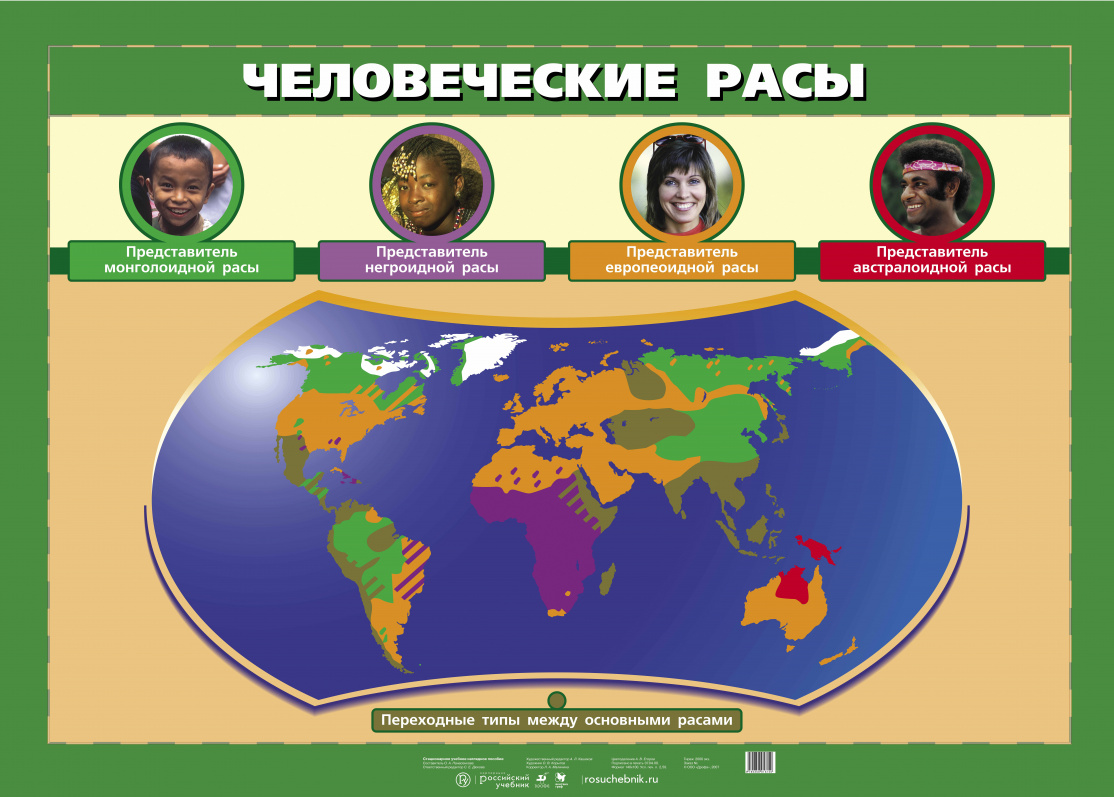 Человеческие расы 6 класс. Человеческие расы. Расы на земле карта. Карта человеческих рас. Географические расы.