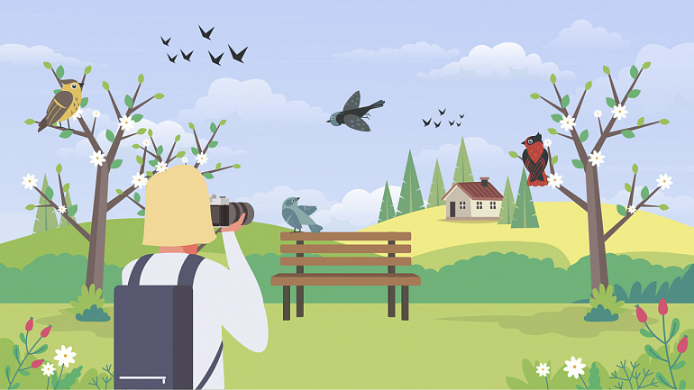 Просвещение и РГО приглашают понаблюдать за птицами в новом конкурсе «Чудо в перьях»