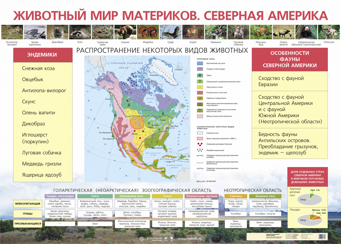 Животный мир материков.Северная Америка – наглядное пособие – Корпорация  Российский учебник (издательство Дрофа – Вентана)