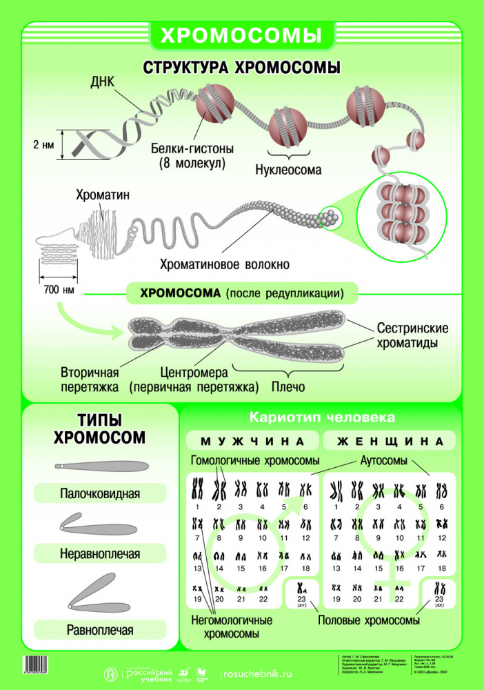 Картирование хромосом презентация 10 класс