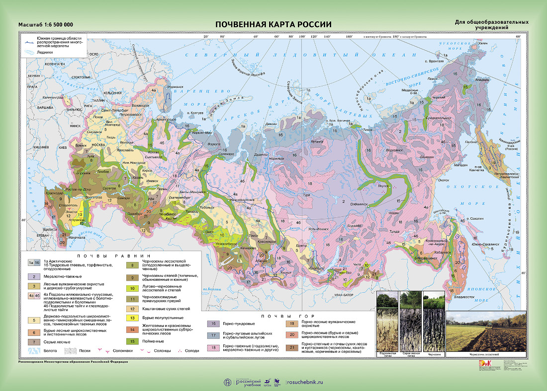 Почвенная карта России