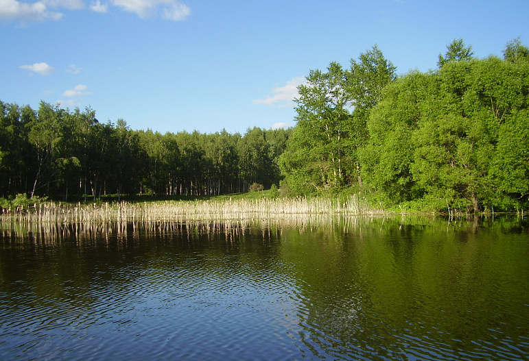 Ранова река рязанская область фото