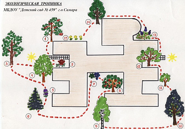 Экологическая тропа рисунки